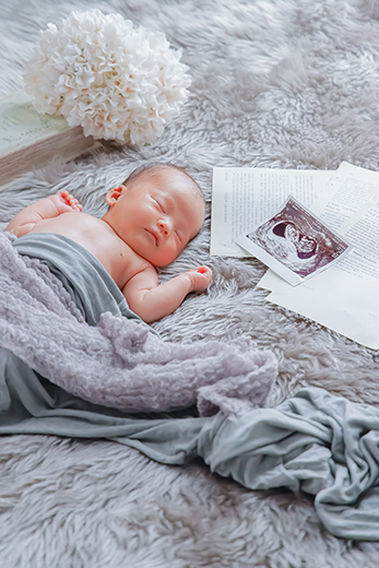 フォトギャラリー01