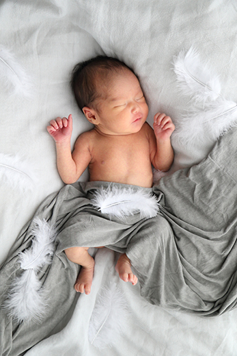 フォトギャラリー03