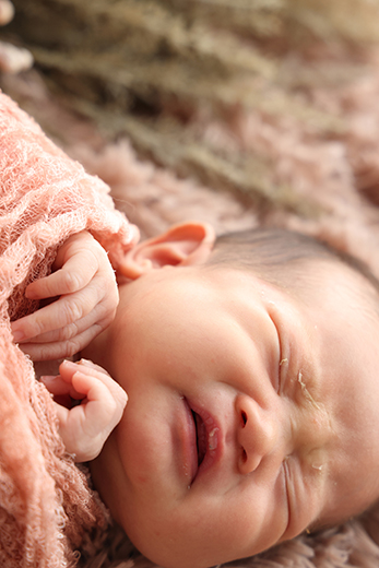 フォトギャラリー05